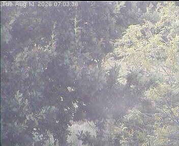 Archiv Foto Webcam Wrixum - Inselhotel Arfsten
