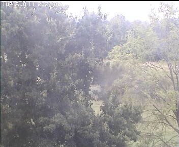 Archiv Foto Webcam Wrixum - Inselhotel Arfsten
