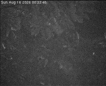 Archiv Foto Webcam Wrixum - Inselhotel Arfsten
