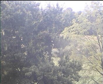 Archiv Foto Webcam Wrixum - Inselhotel Arfsten
