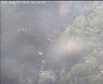 Archiv Foto Webcam Wrixum - Inselhotel Arfsten