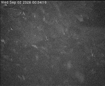 Archiv Foto Webcam Wrixum - Inselhotel Arfsten