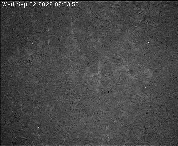 Archiv Foto Webcam Wrixum - Inselhotel Arfsten