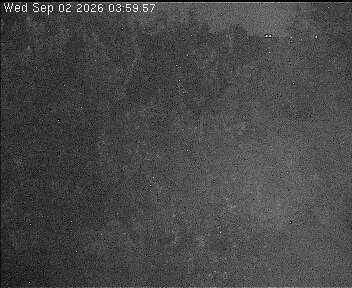 Archiv Foto Webcam Wrixum - Inselhotel Arfsten
