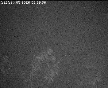 Archiv Foto Webcam Wrixum - Inselhotel Arfsten