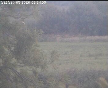 Archiv Foto Webcam Wrixum - Inselhotel Arfsten