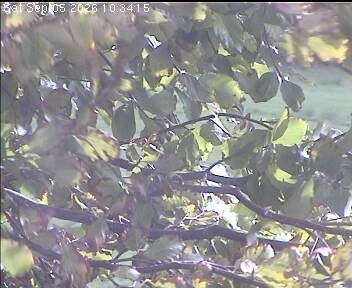 Archiv Foto Webcam Wrixum - Inselhotel Arfsten