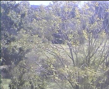 Archiv Foto Webcam Wrixum - Inselhotel Arfsten