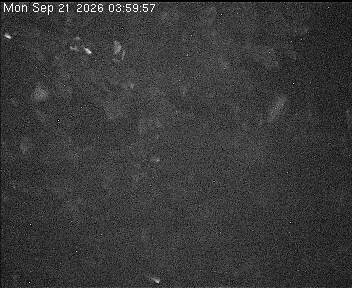 Archived image Webcam Wrixum - Panorama