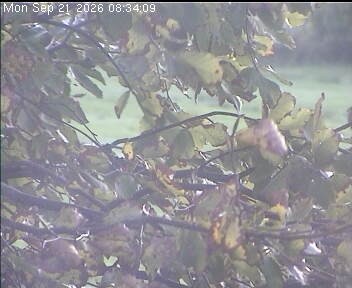 Archived image Webcam Wrixum - Panorama