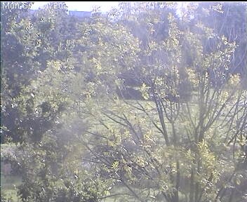 Archived image Webcam Wrixum - Panorama