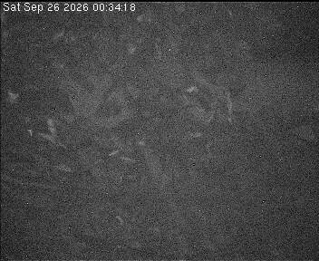 Archiv Foto Webcam Wrixum - Inselhotel Arfsten
