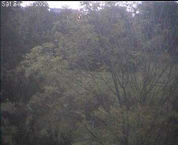 Archiv Foto Webcam Wrixum - Inselhotel Arfsten