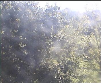 Archiv Foto Webcam Wrixum - Inselhotel Arfsten