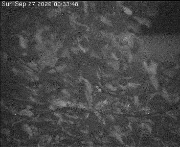 Archiv Foto Webcam Wrixum - Inselhotel Arfsten