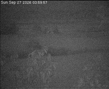 Archiv Foto Webcam Wrixum - Inselhotel Arfsten