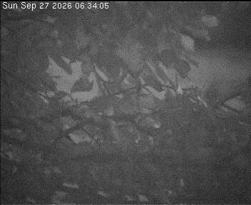Archiv Foto Webcam Wrixum - Inselhotel Arfsten