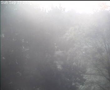 Archiv Foto Webcam Wrixum - Inselhotel Arfsten