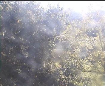 Archiv Foto Webcam Wrixum - Inselhotel Arfsten