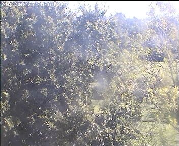 Archiv Foto Webcam Wrixum - Inselhotel Arfsten