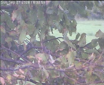 Archiv Foto Webcam Wrixum - Inselhotel Arfsten