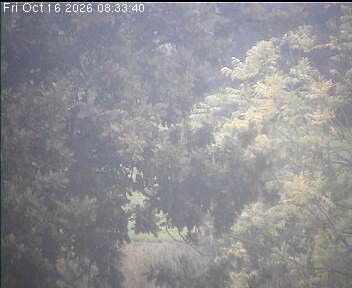 Archiv Foto Webcam Wrixum - Inselhotel Arfsten