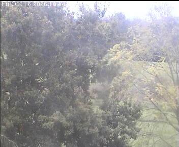Archiv Foto Webcam Wrixum - Inselhotel Arfsten