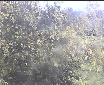 Archiv Foto Webcam Wrixum - Inselhotel Arfsten