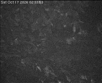 Archiv Foto Webcam Wrixum - Inselhotel Arfsten
