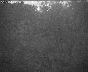 Archiv Foto Webcam Wrixum - Inselhotel Arfsten