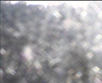 Archiv Foto Webcam Wrixum - Inselhotel Arfsten