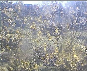 Archiv Foto Webcam Wrixum - Inselhotel Arfsten