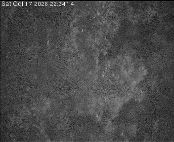 Archiv Foto Webcam Wrixum - Inselhotel Arfsten