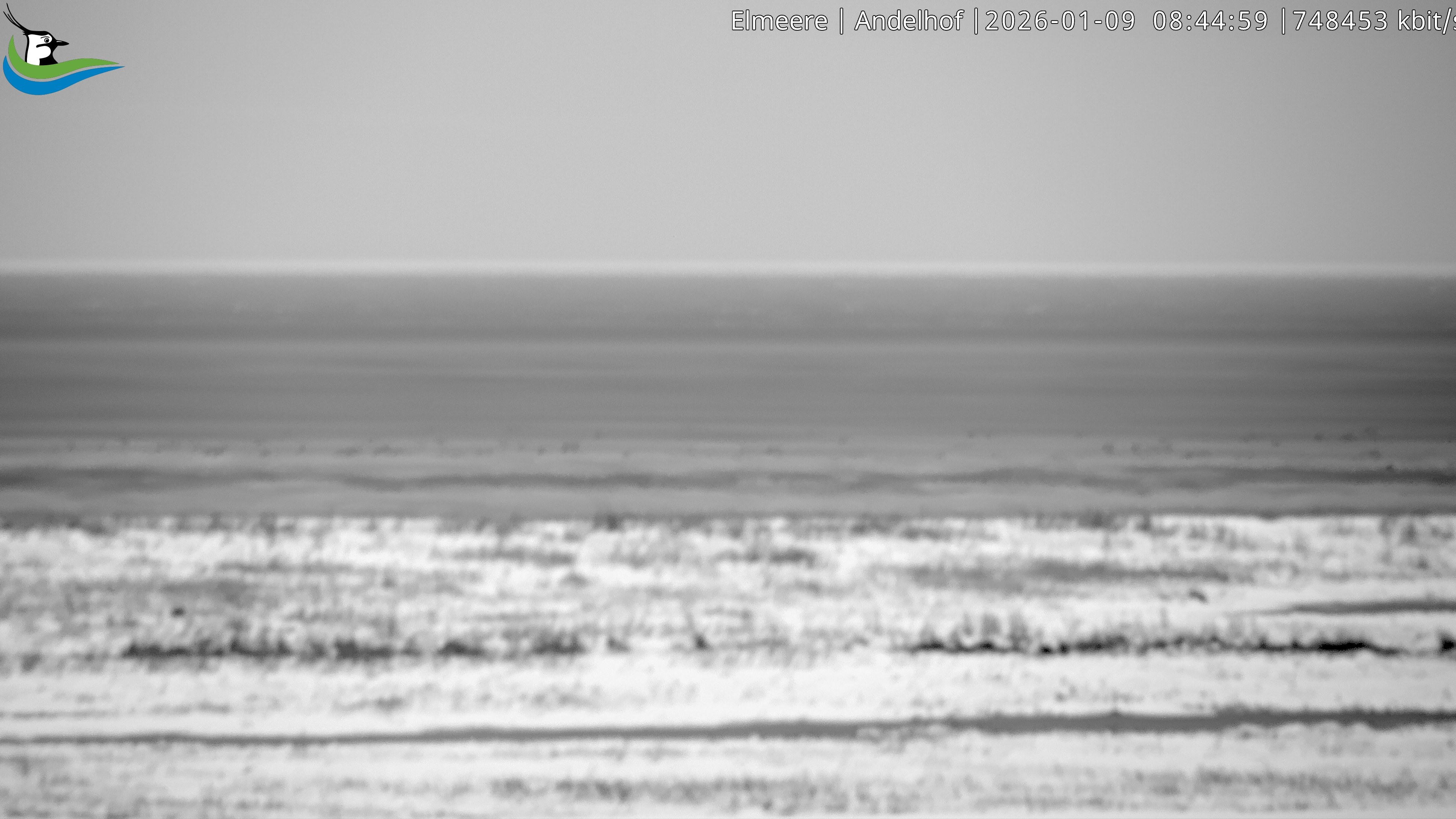 Archiv Foto Webcam Midlum - Andelhof