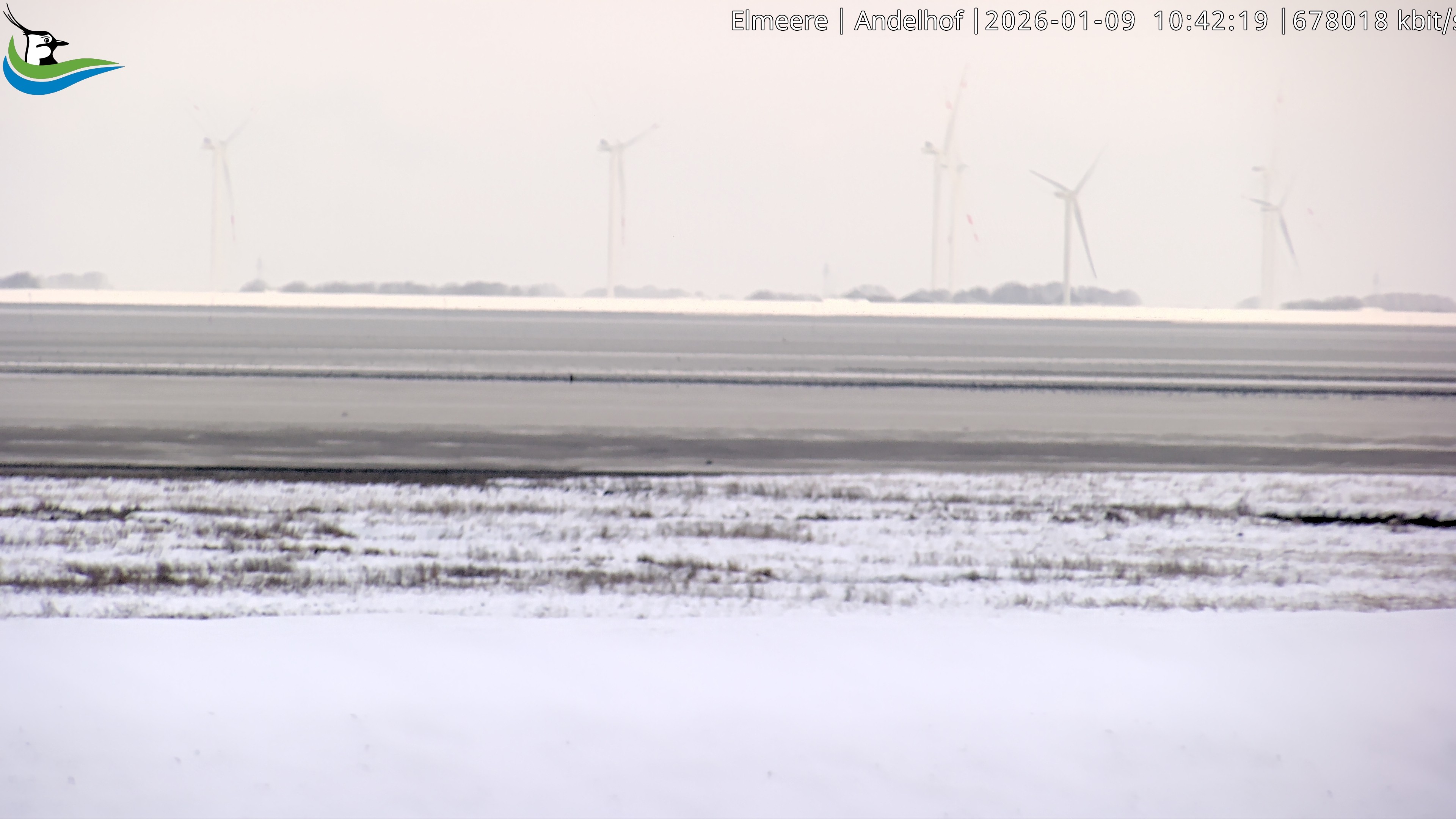 Archiv Foto Webcam Midlum - Andelhof