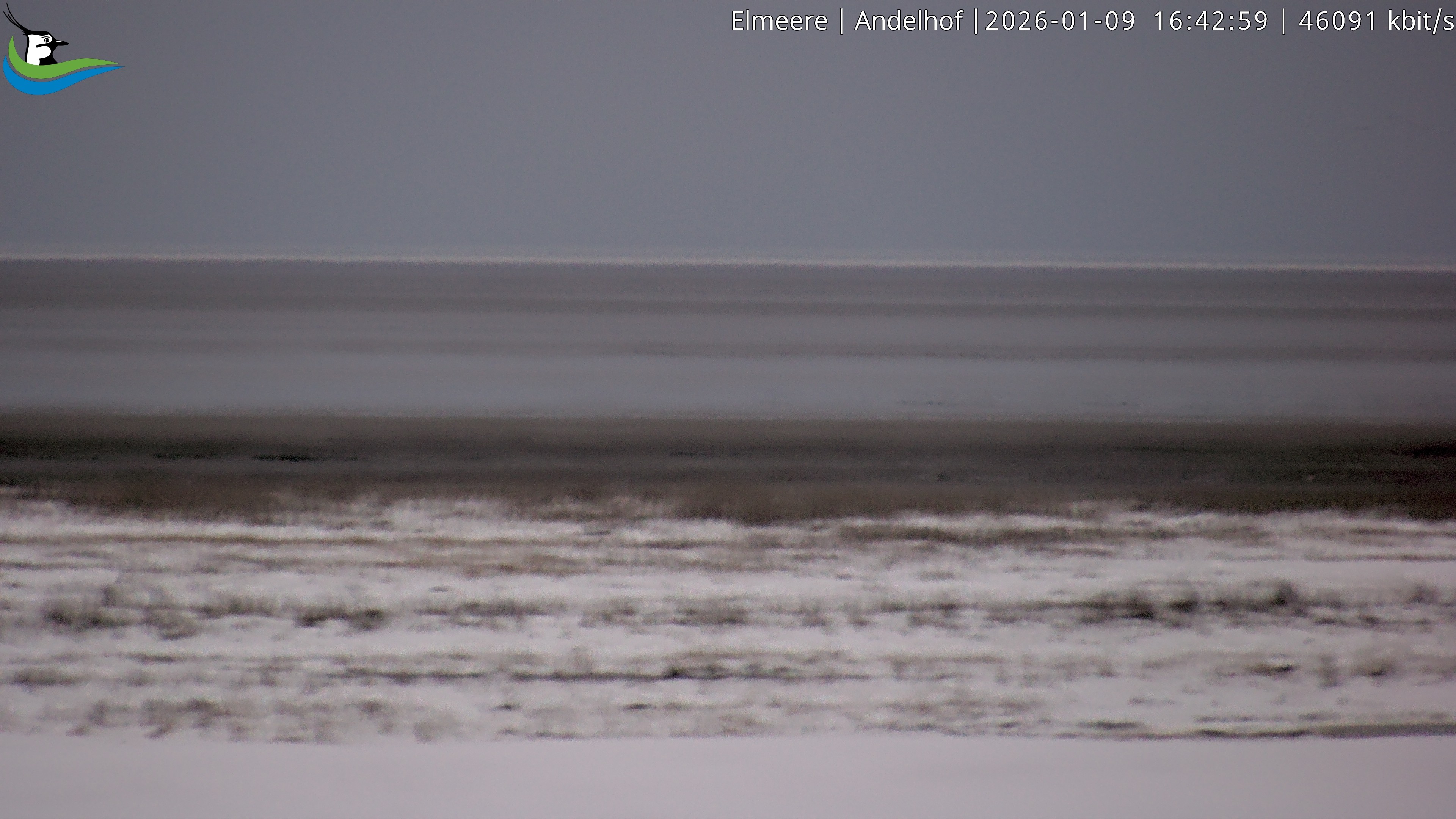 Archiv Foto Webcam Midlum - Andelhof