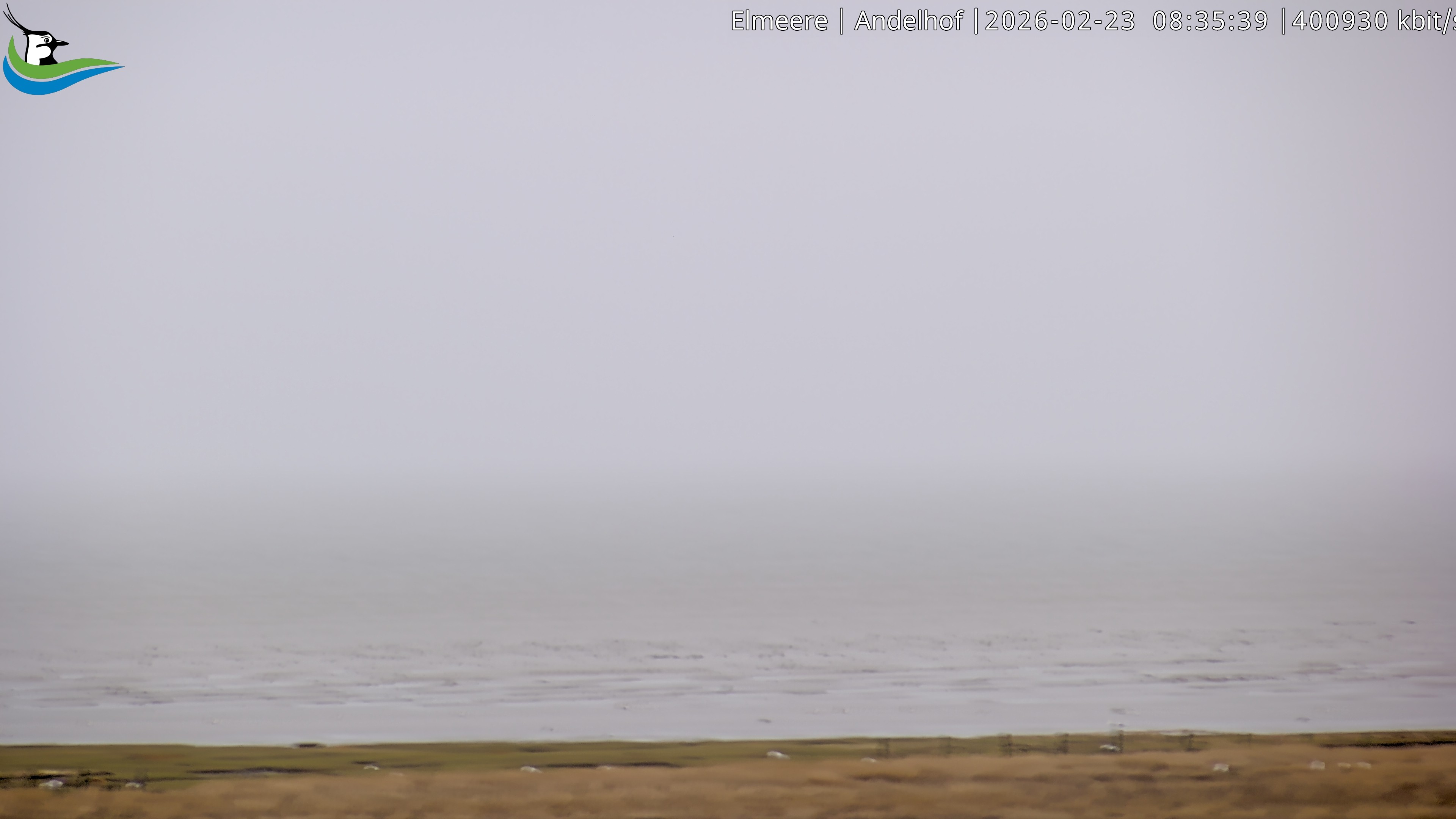 Archiv Foto Webcam Midlum - Andelhof