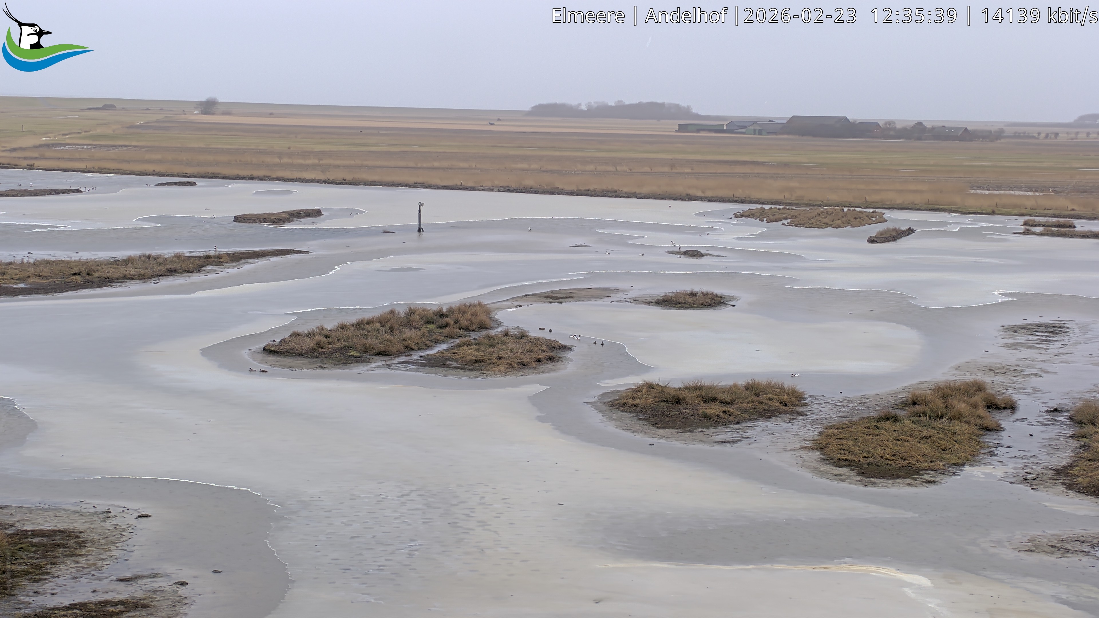 Archiv Foto Webcam Midlum - Andelhof