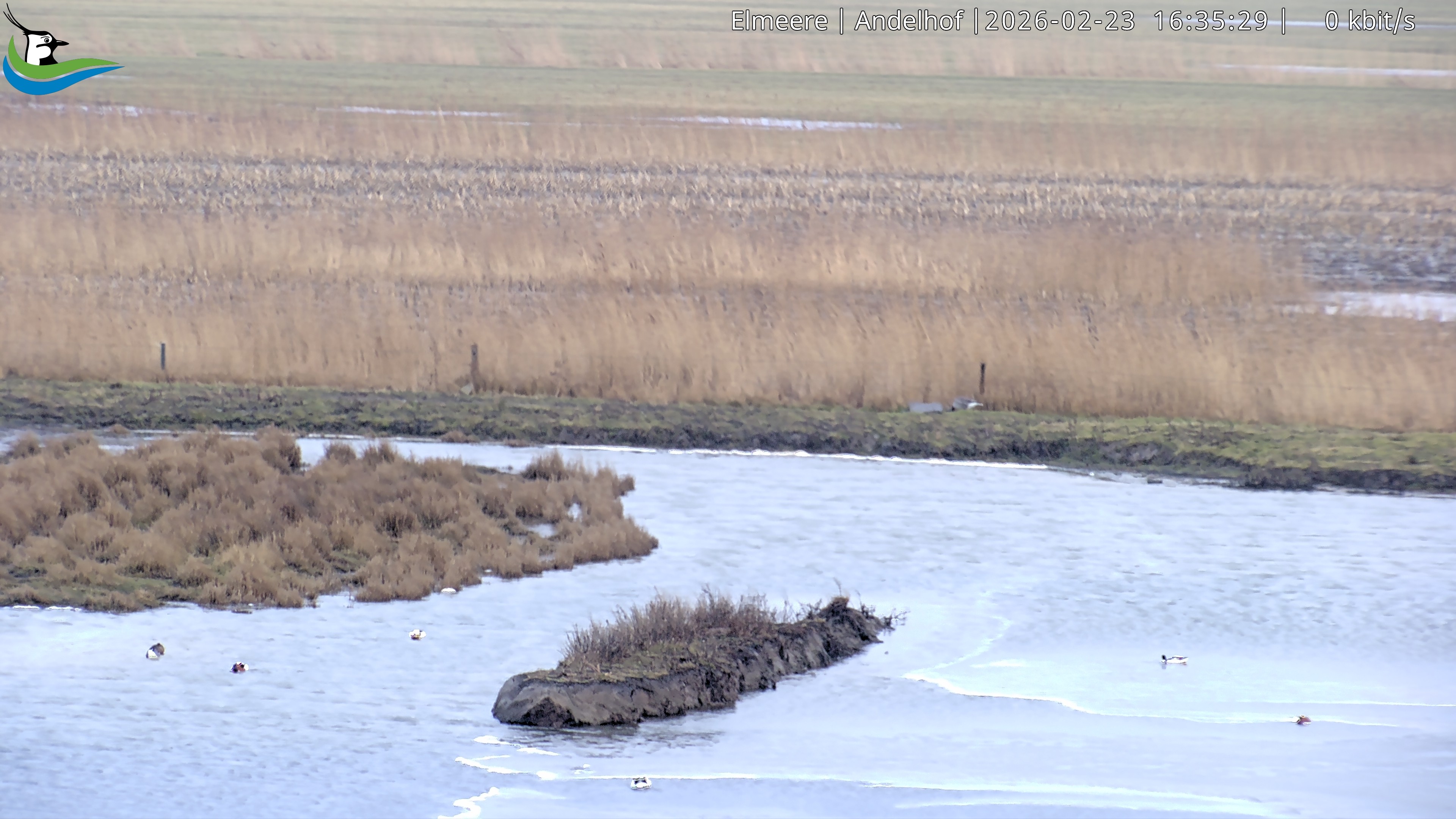 Archiv Foto Webcam Midlum - Andelhof