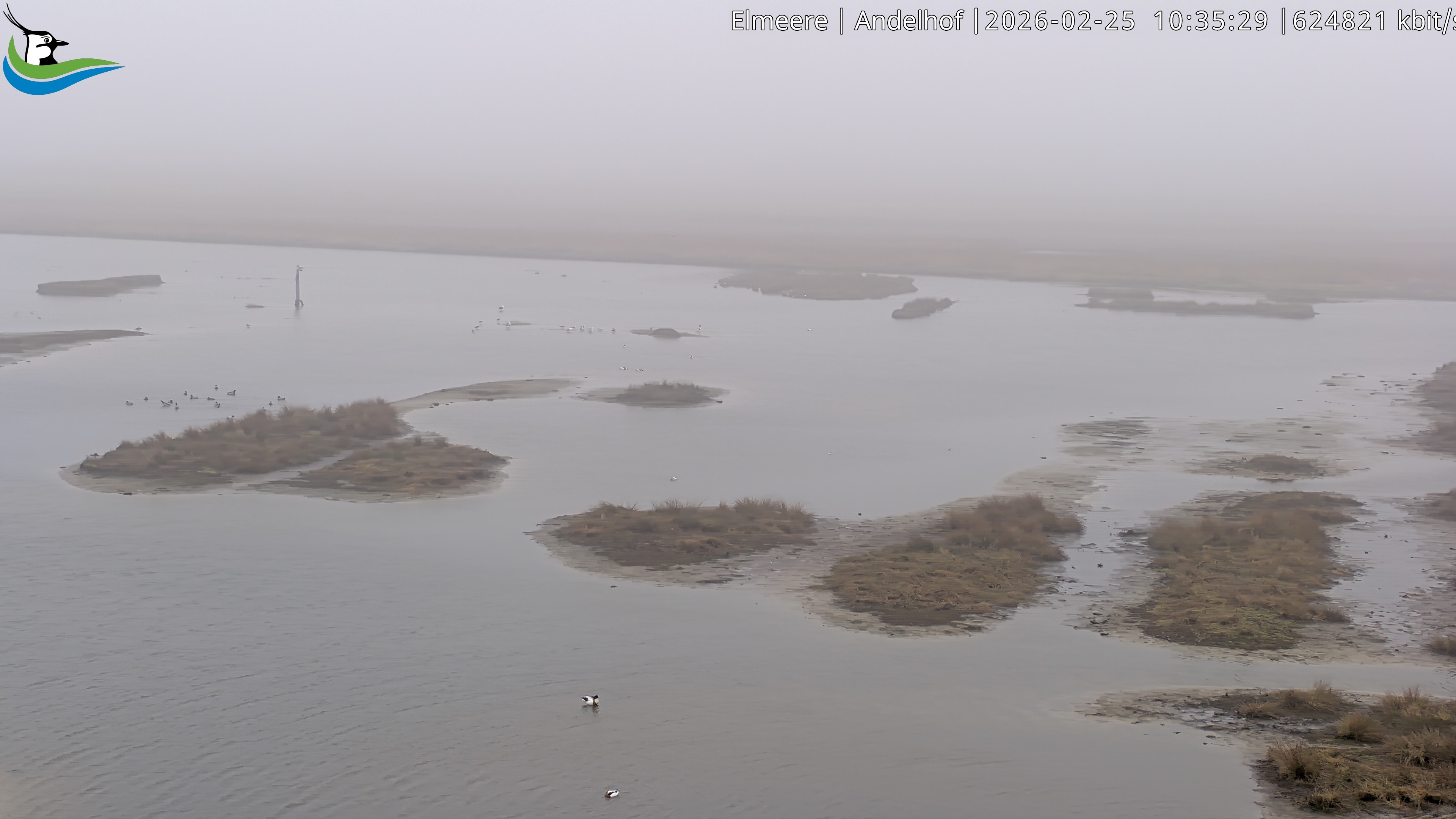 Archiv Foto Webcam Midlum - Andelhof