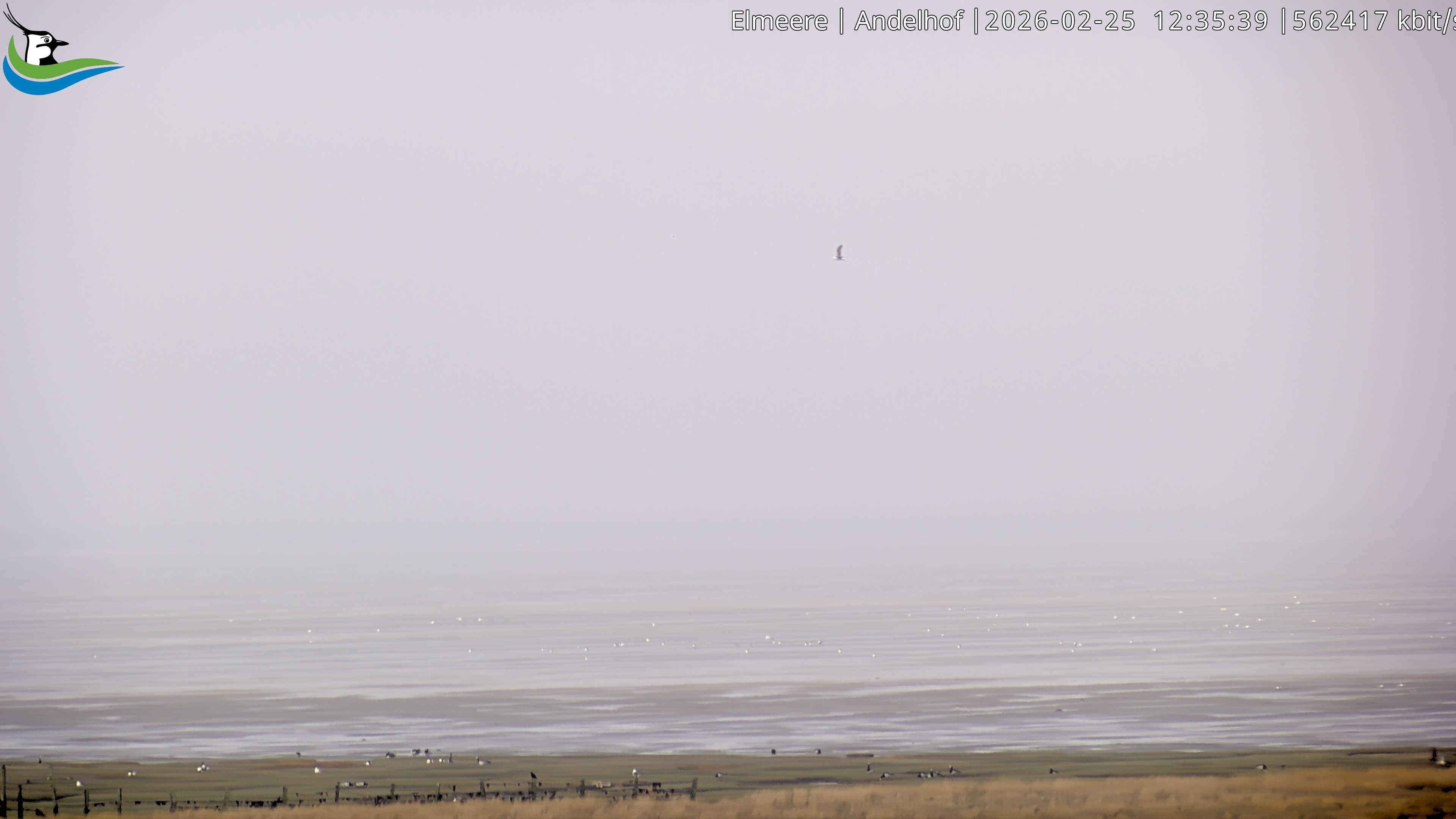 Archiv Foto Webcam Midlum - Andelhof