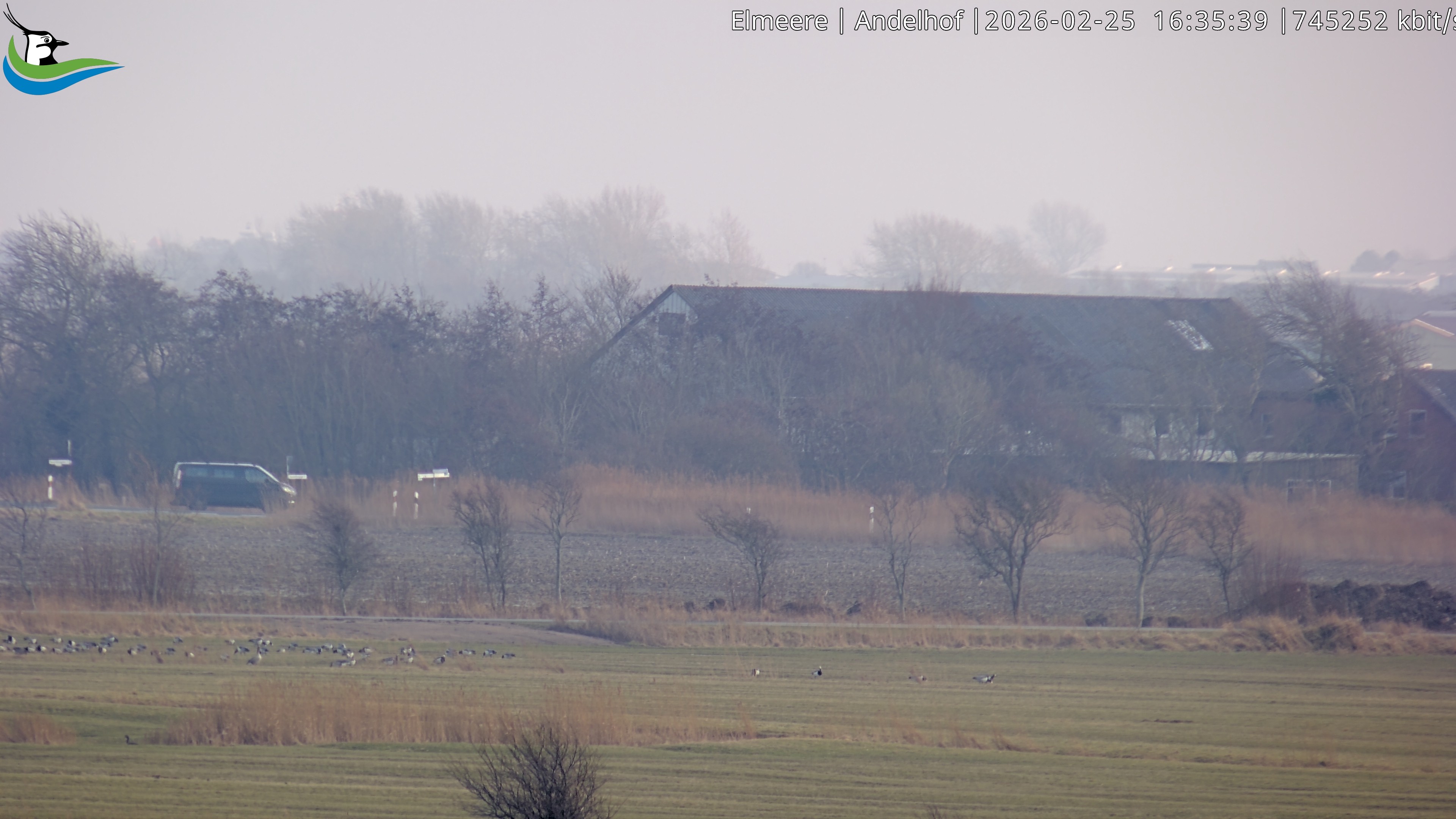 Archiv Foto Webcam Midlum - Andelhof
