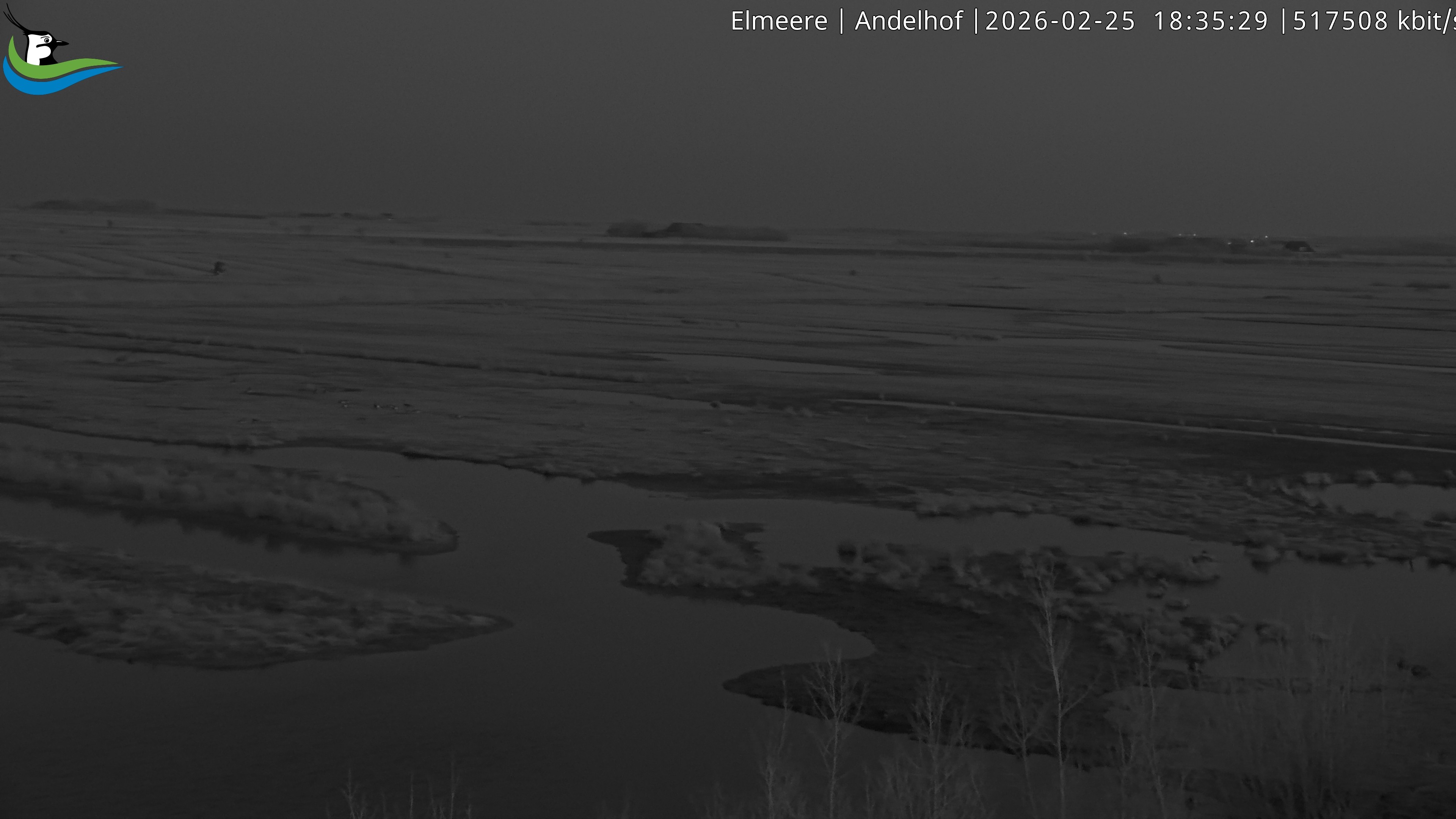 Archiv Foto Webcam Midlum - Andelhof