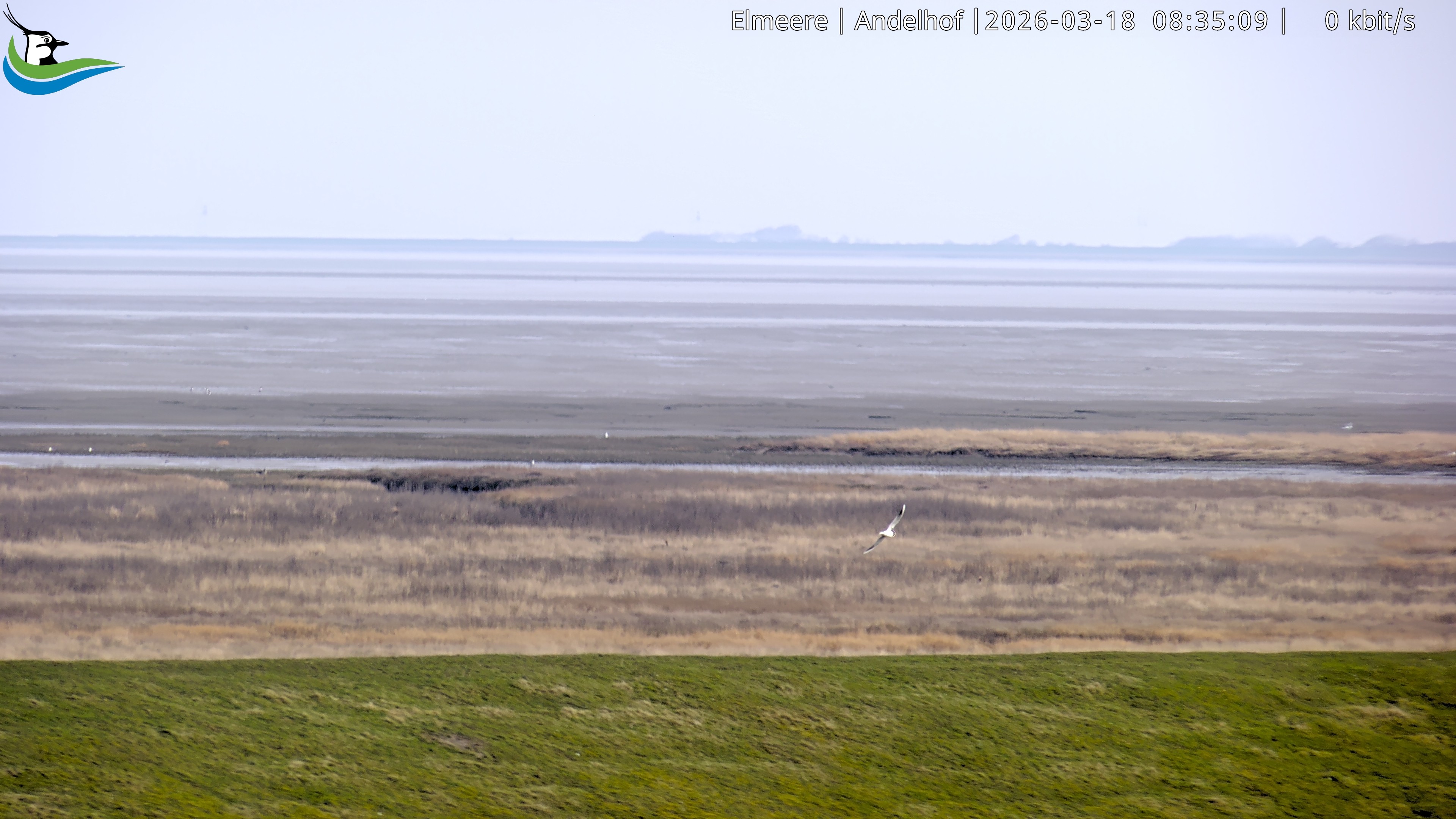 Archiv Foto Webcam Midlum - Andelhof