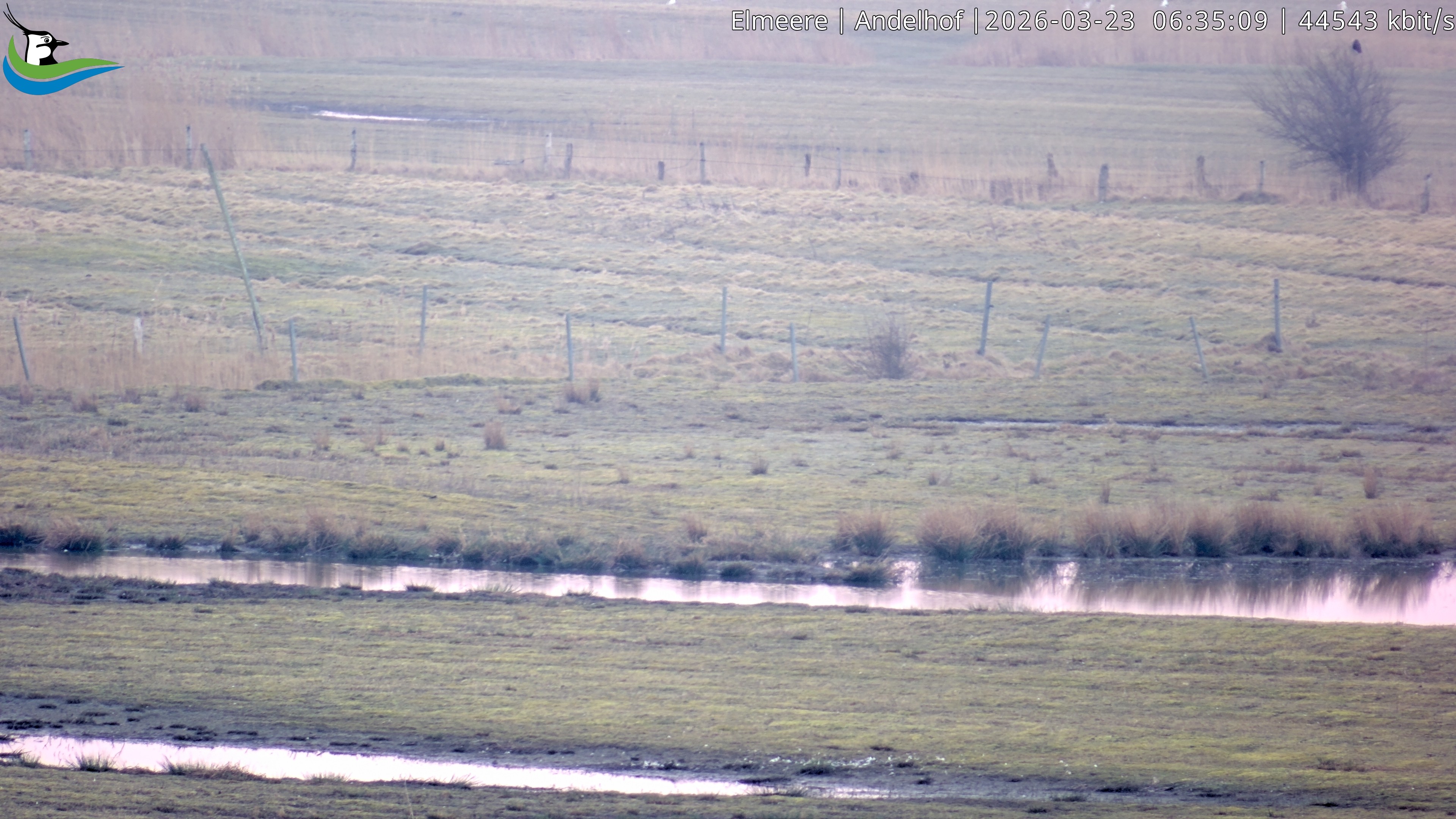 Archiv Foto Webcam Midlum - Andelhof
