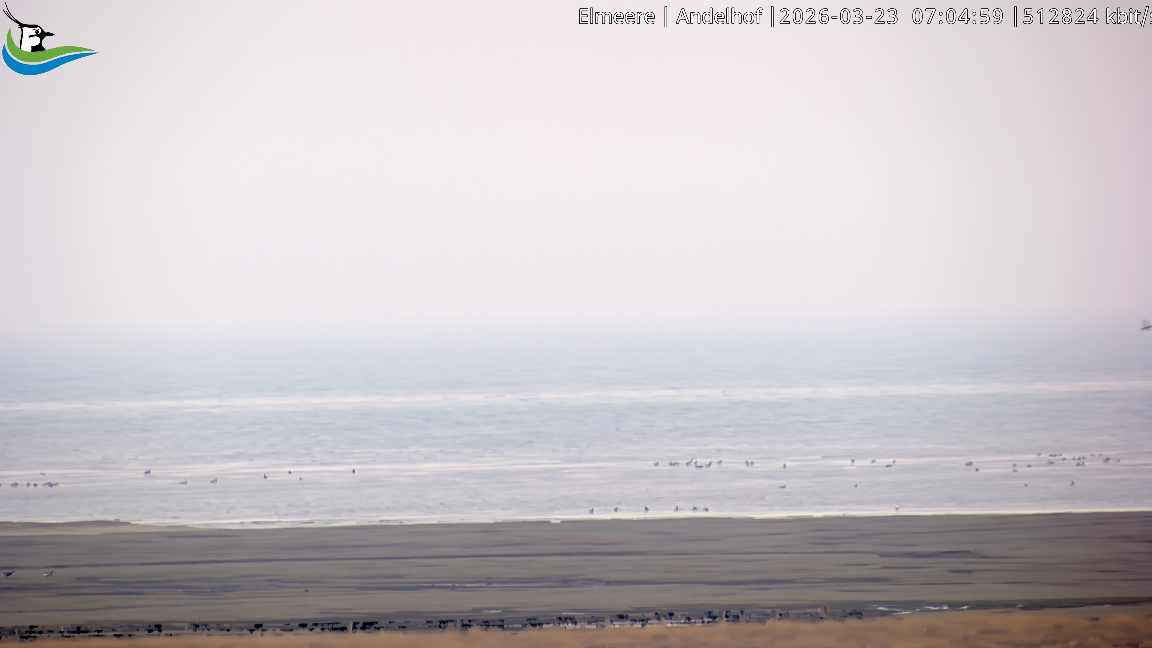 Archiv Foto Webcam Midlum - Andelhof