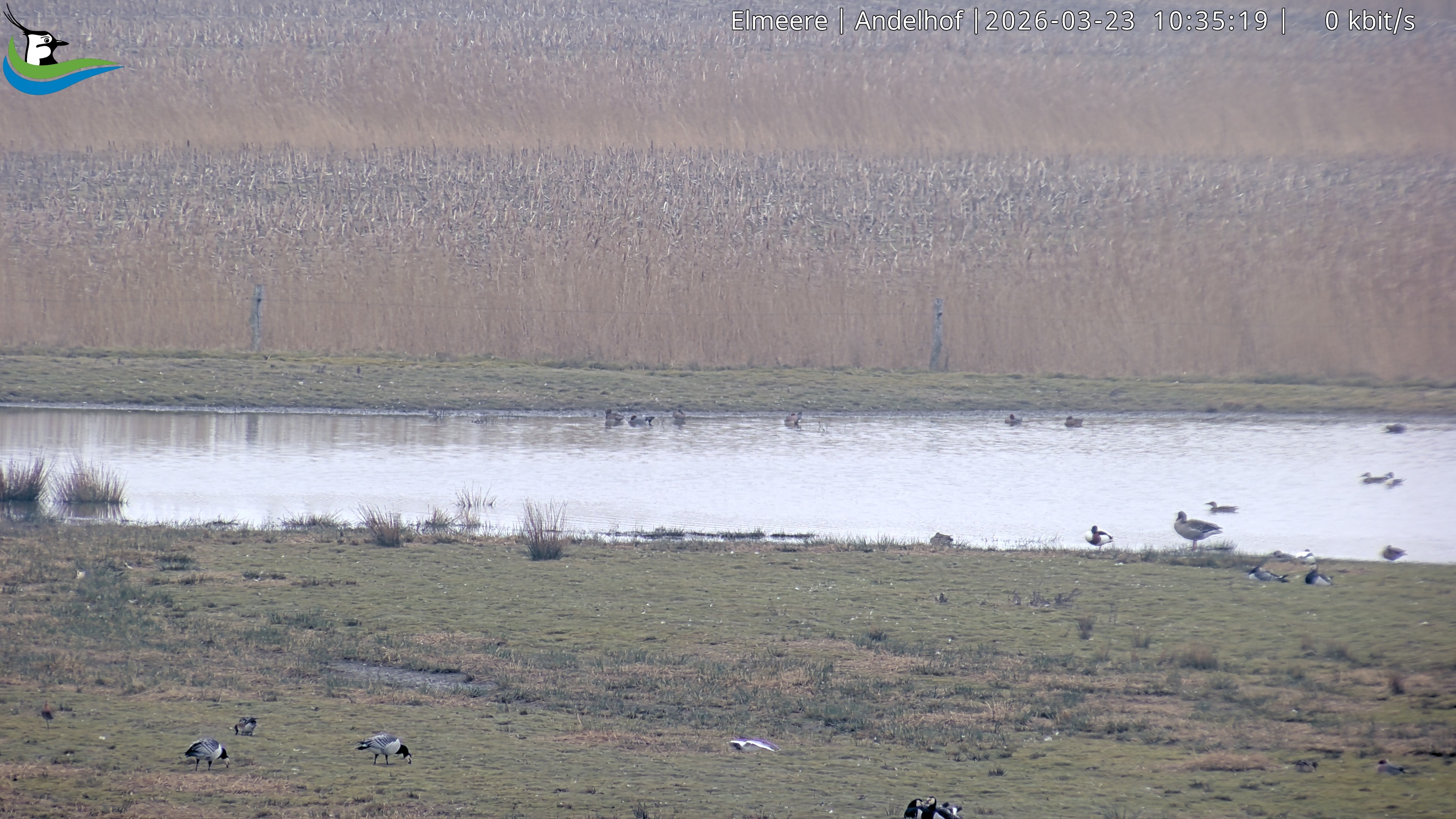 Archiv Foto Webcam Midlum - Andelhof