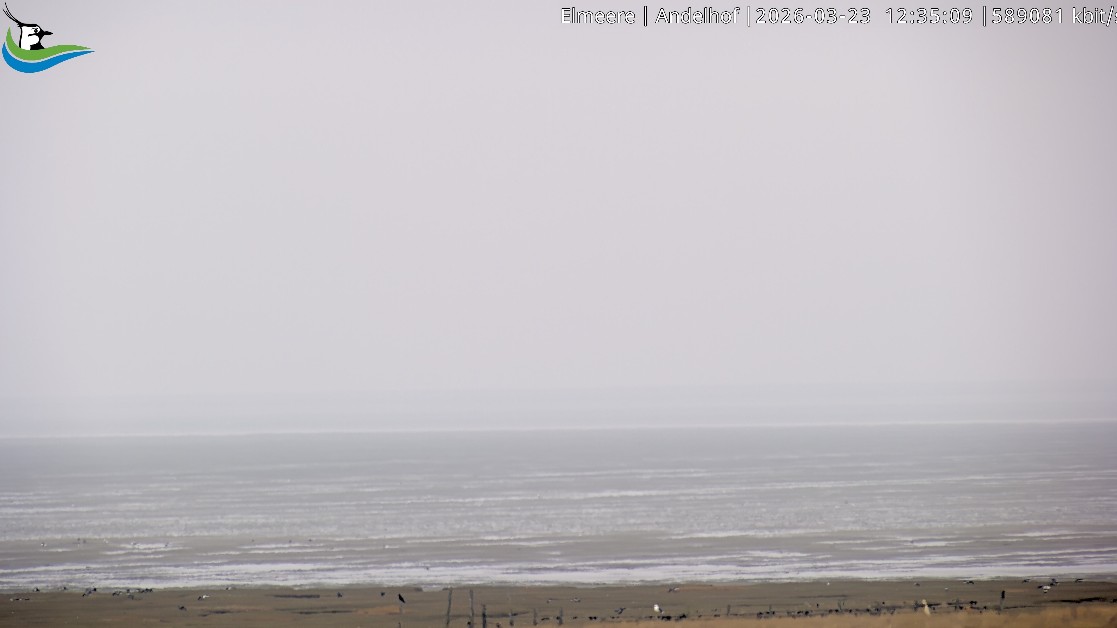 Archiv Foto Webcam Midlum - Andelhof