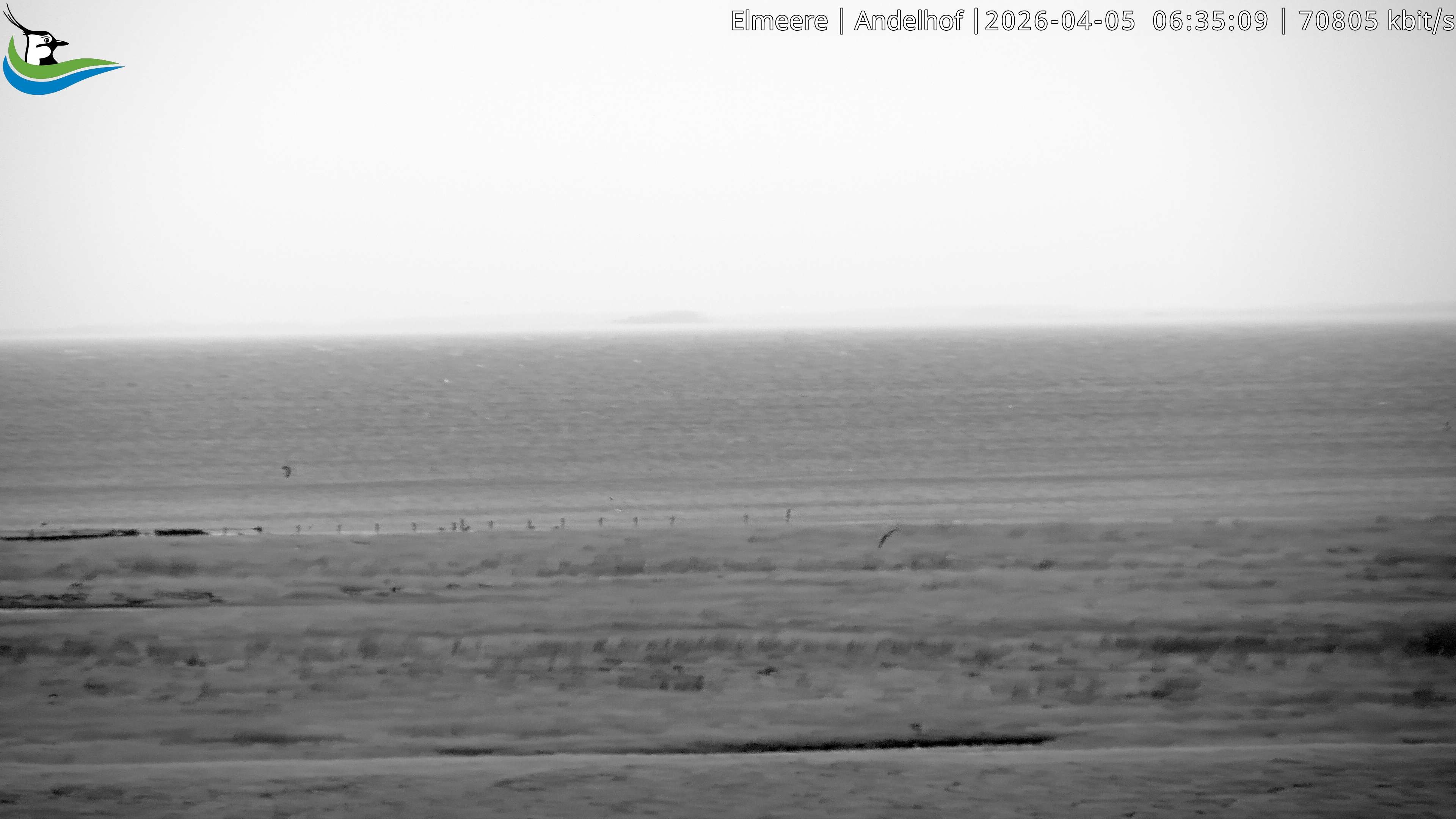 Archiv Foto Webcam Midlum - Andelhof