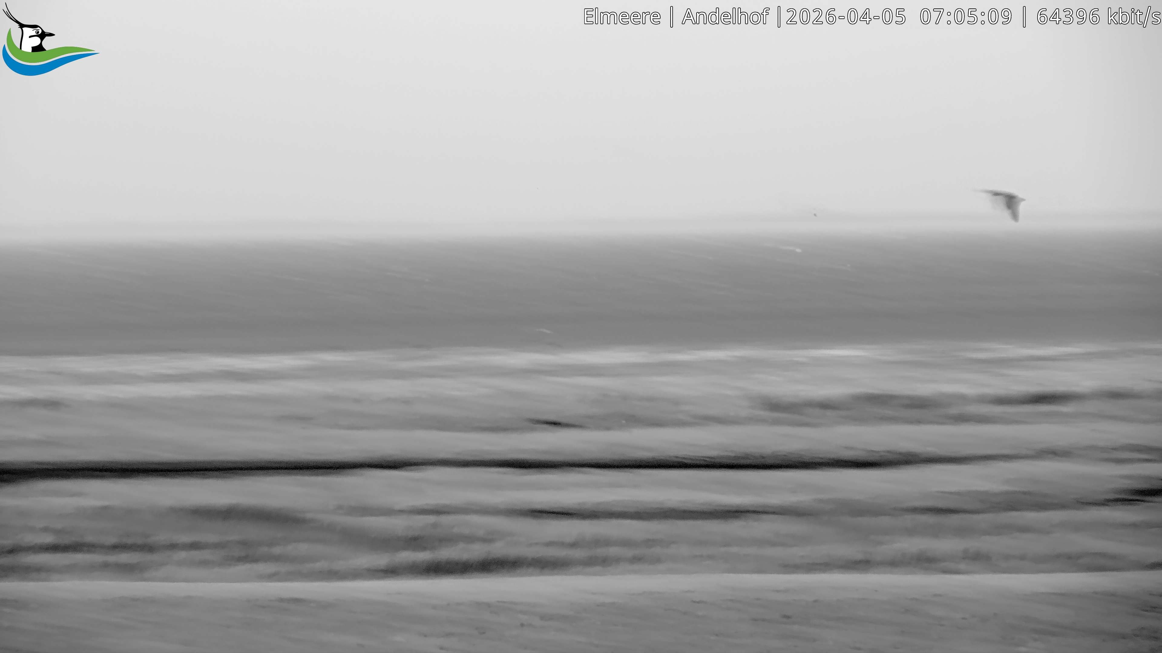 Archiv Foto Webcam Midlum - Andelhof